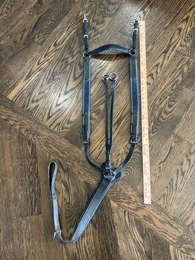Horse, black and navy running Martindale large horse training equipment